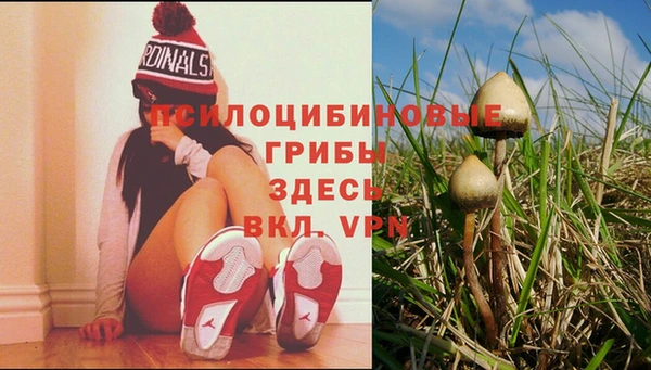 МДПВ Алзамай