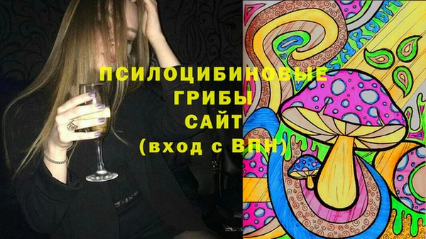 МДПВ Алзамай