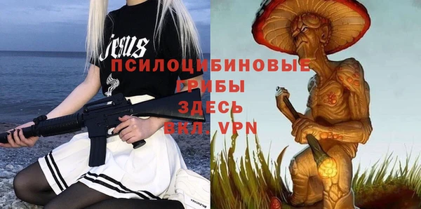 МДПВ Алзамай