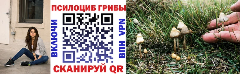Галлюциногенные грибы ЛСД  закладки  Николаевск 