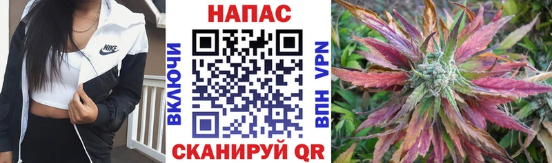 купить закладку  Николаевск  Шишки марихуана конопля 